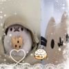 moon_candy_cake