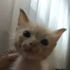 iam.hellonaaff