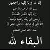 nawel3941