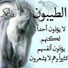 zizoumimo3