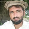 alamsher621