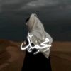 m_abu.ajaj