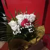 mihaela.maria494