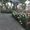 komaji80
