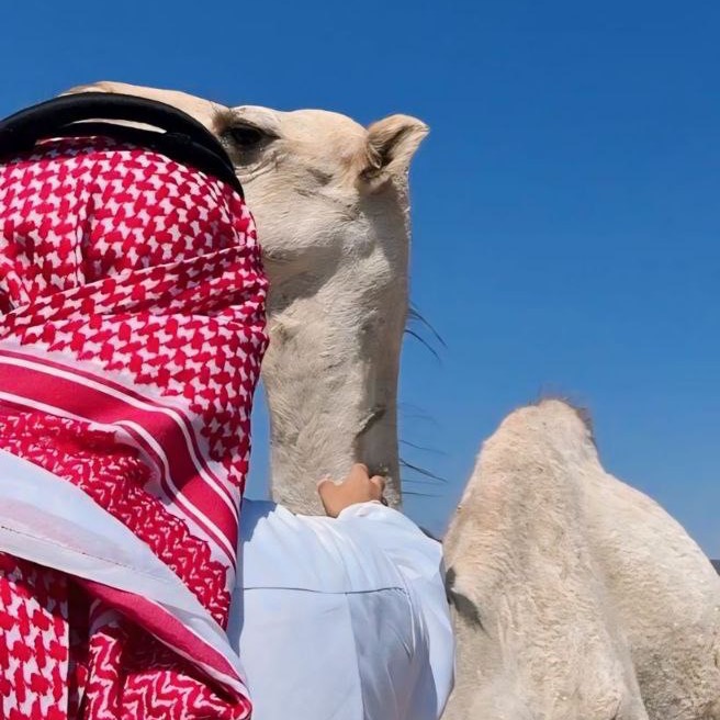 بدرالشلاقي☪︎