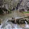 milevukovico111
