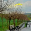 shazada0.10