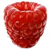 bartosszzzzzz
