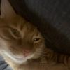 elijah_aka_sexyman