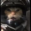 _biker_._girl_