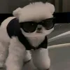 vuongtieu_23