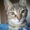 .nicolaswtf