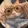 nqah.kjn