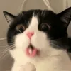 _mojiko_22