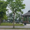 duongnguyenvan2656