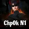 chp0km3n