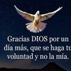 user7567510603102