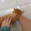 froyalde01