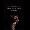 arwa79236