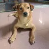 ngoc.hanh123dloi