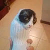 pimoz_deda