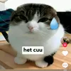 nuti588