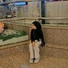 ameliasalsabilla_66