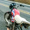 brabocarlos_244