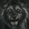 mohamed_0__emad