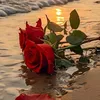 olivya278