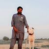 amjad.joyia73