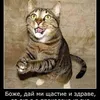 georgidamianov7
