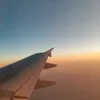 niraolc_20