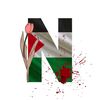 mypalestine13
