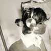 leave_me__alone_01
