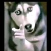 neecy132002