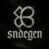 Tg: sndegen