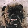 christopherberg82