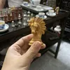 chihonggiadung