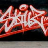 skillz438