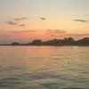 roryk_1234