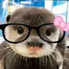 eluskqq_7778