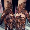 ahanakhan8895