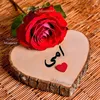 srusht466