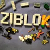 zi_block