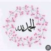 aml.mohamed770