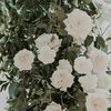 preciousplants