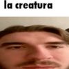 arandombee1246