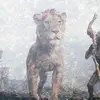 destinitheediter2