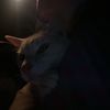 sarelymm11